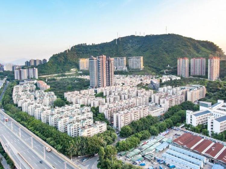 五年为期给你复盘2018年的前海片区