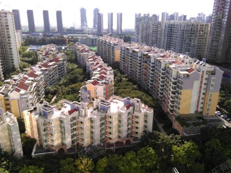 五年为期给你复盘2018年的前海片区