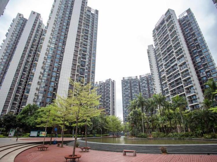 五年为期给你复盘2018年的前海片区