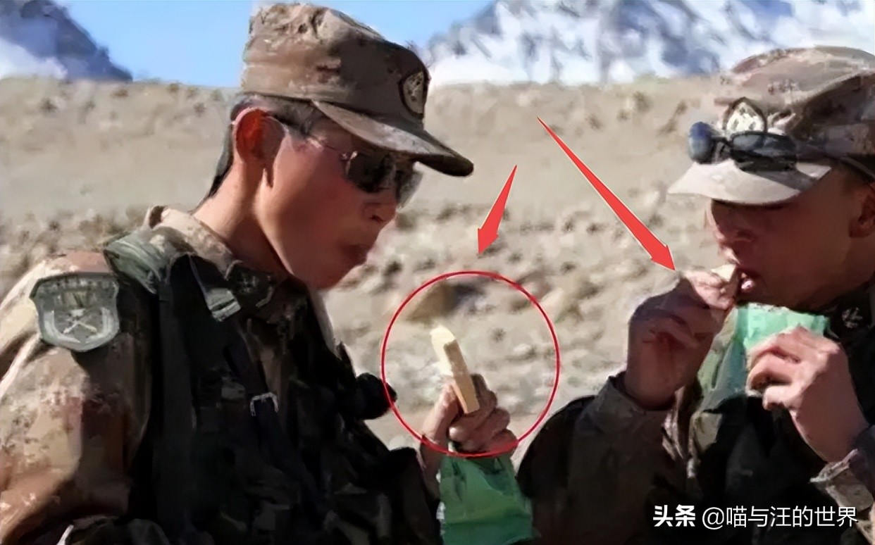 吃一块军用压缩饼干，真能抗饿48小时吗？放水中煮30分钟揭晓答案