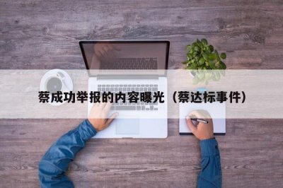 ​蔡成功举报的内容曝光（蔡达标事件）
