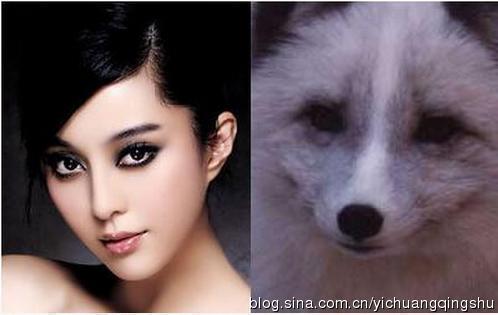 范冰冰养狐仙真的吗，一个苗女所知道的真实的蛊,本文共（1157字）