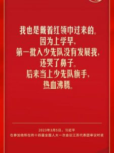 ​戴红领巾(戴红领巾的视频教程)