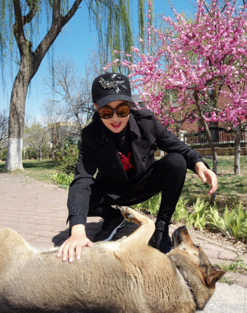 刘晓庆回应整容称不可能 要有假体空中早飞了