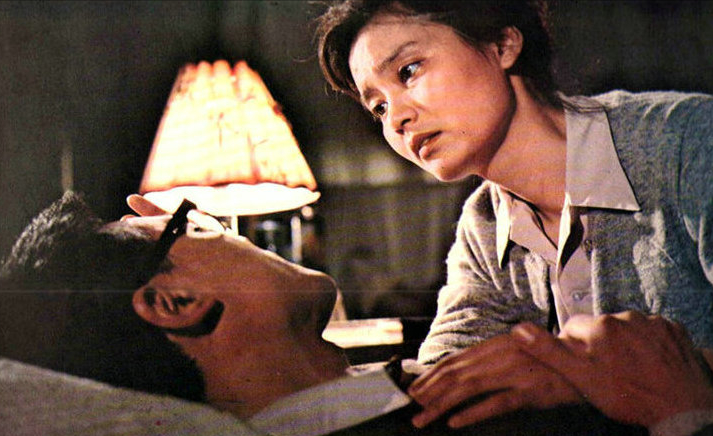 潘虹的出生个人简历（国家一级演员潘虹资料）