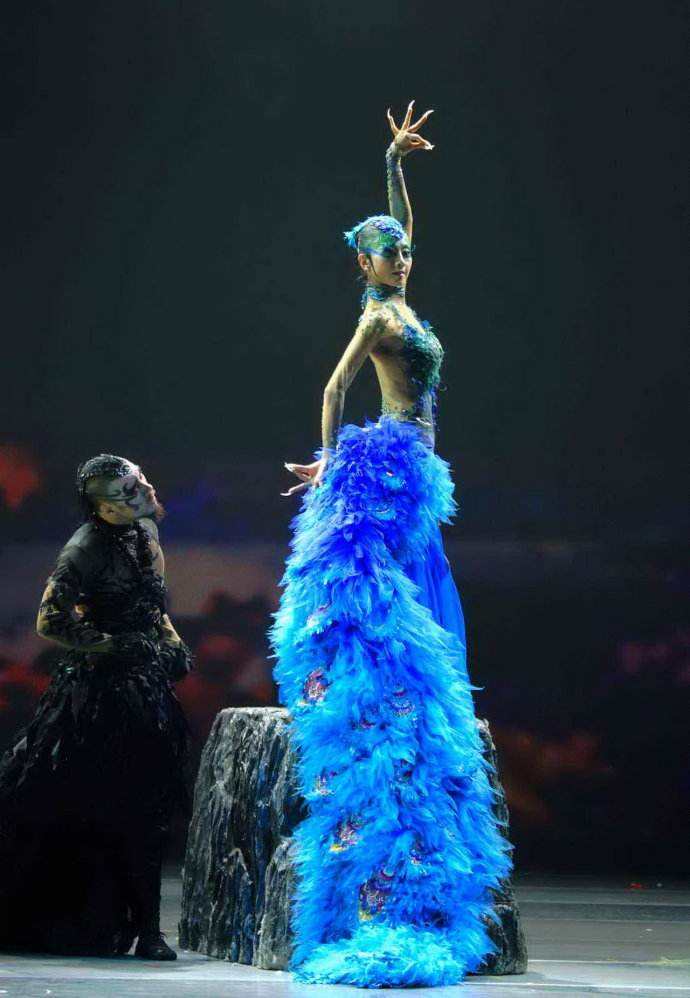 舞蹈家杨丽萍资料介绍（杨丽萍和前夫刘淳晴离婚20年）