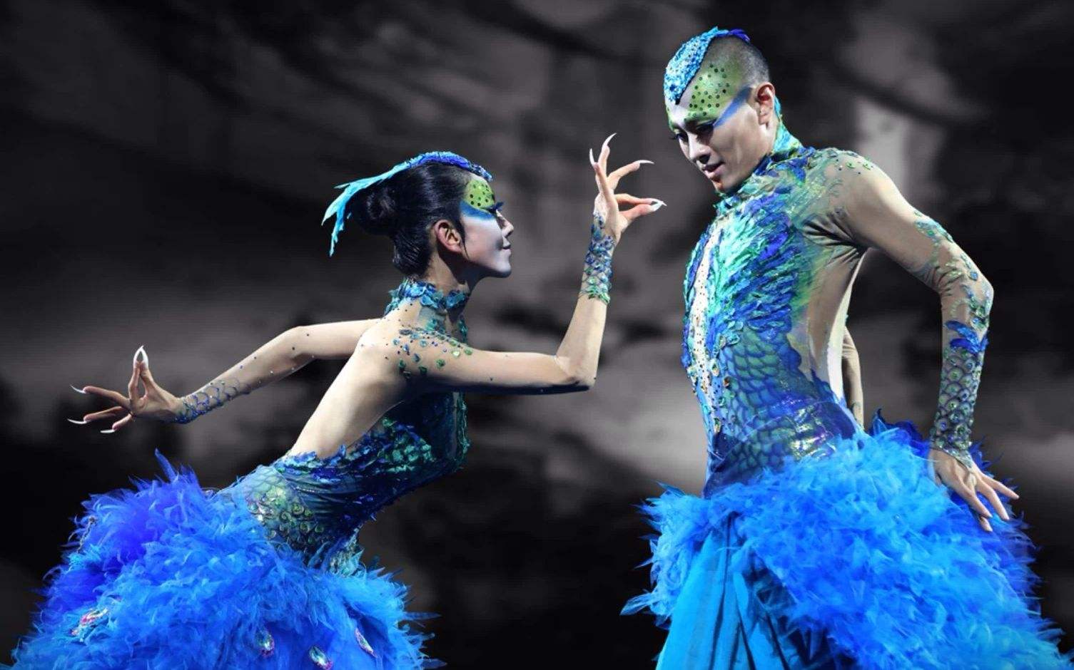 舞蹈家杨丽萍资料介绍（杨丽萍和前夫刘淳晴离婚20年）