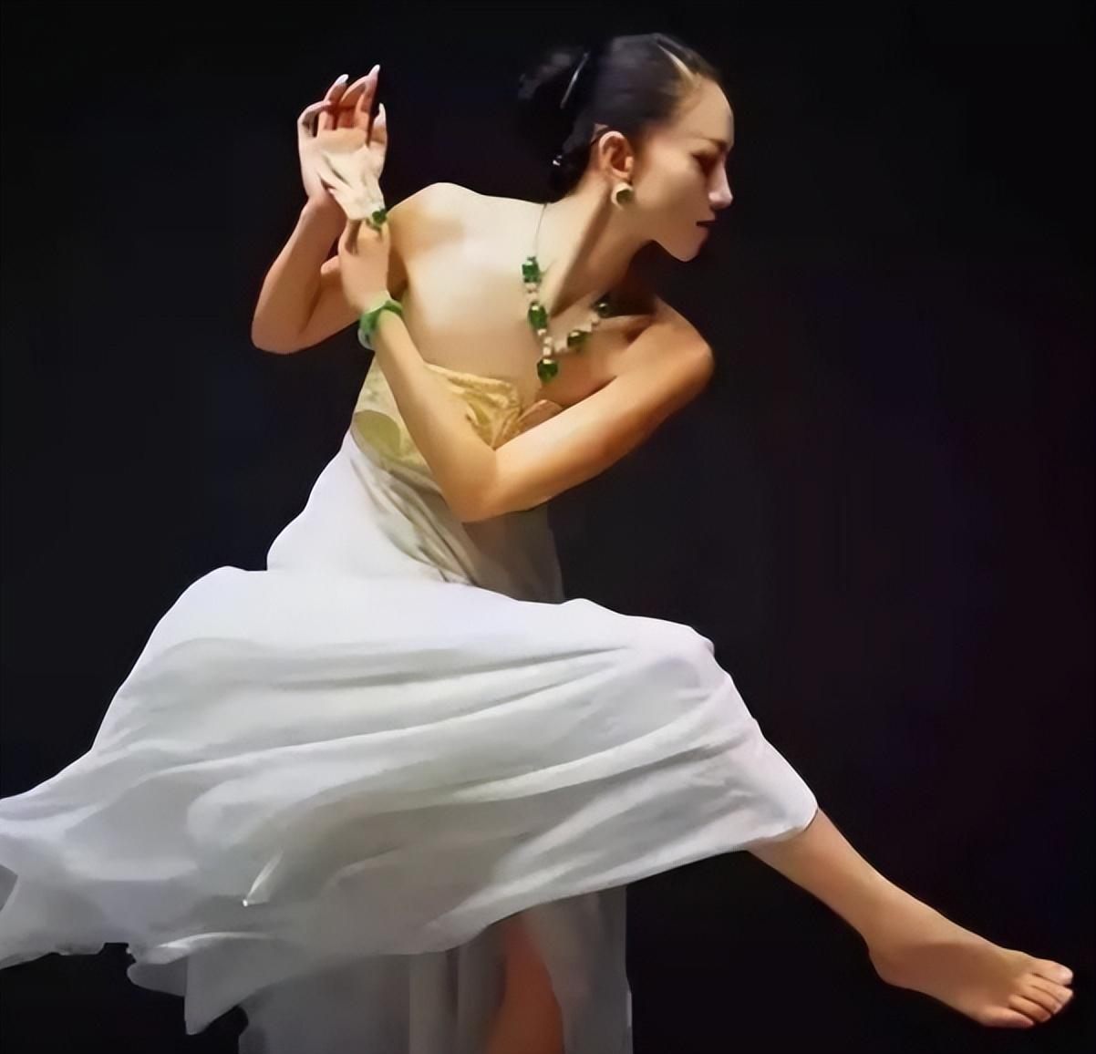 舞蹈家杨丽萍资料介绍（杨丽萍和前夫刘淳晴离婚20年）