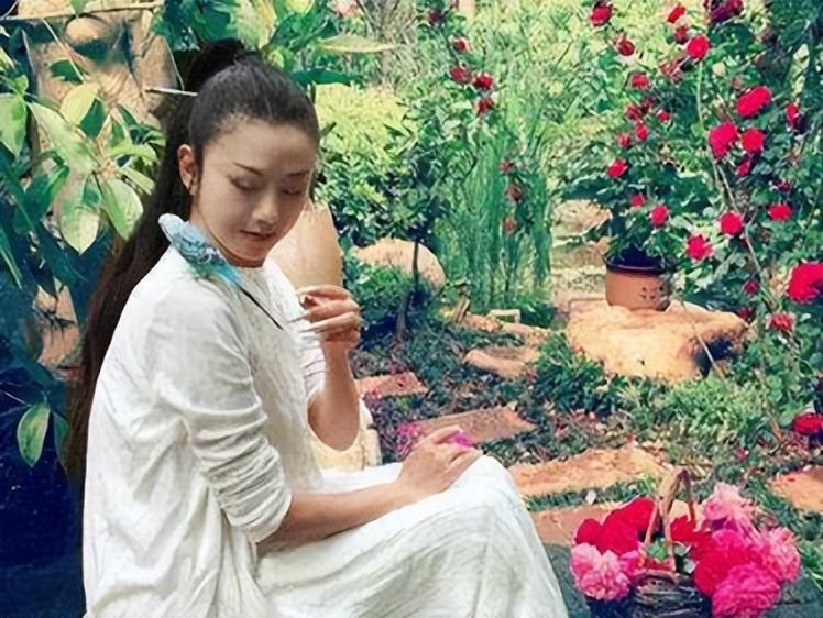 舞蹈家杨丽萍资料介绍（杨丽萍和前夫刘淳晴离婚20年）