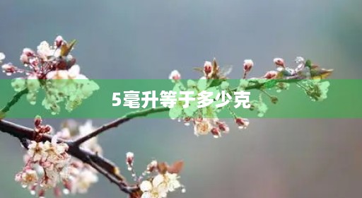 5毫升等于2.5多少克斤