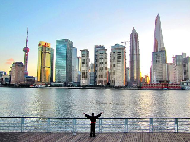 上海一品汤臣多少钱一个平方(汤臣一品房价多少钱一平)