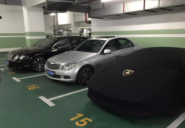 上海一品汤臣多少钱一个平方(汤臣一品房价多少钱一平)