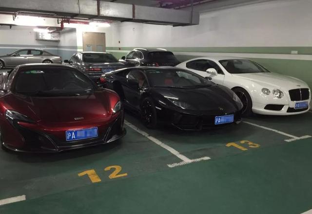 上海一品汤臣多少钱一个平方(汤臣一品房价多少钱一平)