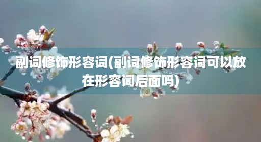 副词修饰形容词(副词修饰形容词可以放在形容词后面吗)