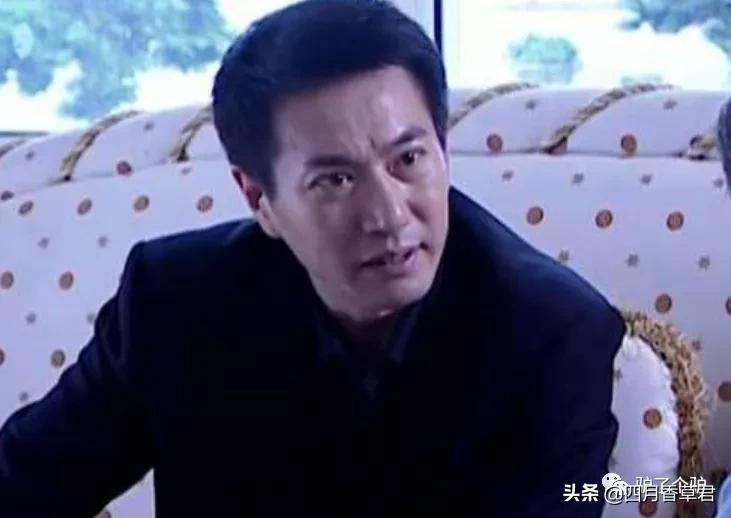 罪域北京老领导原型_罪域演员演技