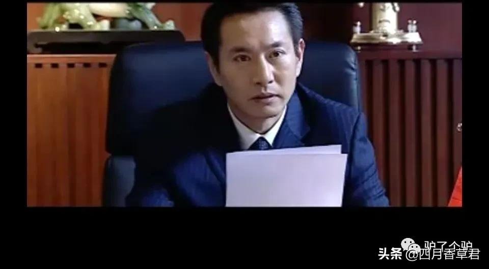 罪域北京老领导原型_罪域演员演技