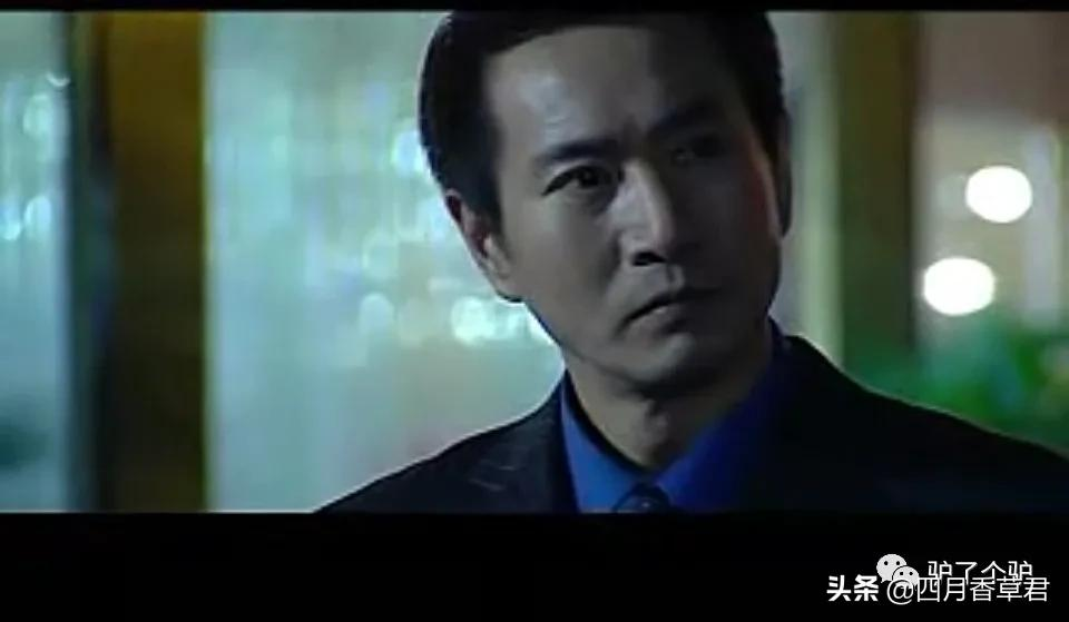 罪域北京老领导原型_罪域演员演技