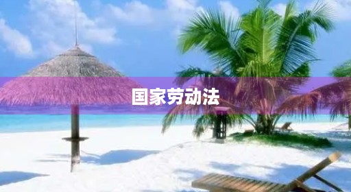 国家劳动法