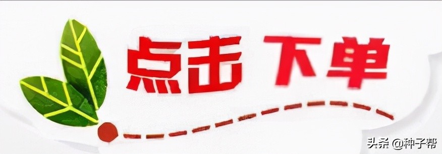 燕麦是否可以用来饲养_饲用燕麦的生长特性以及种植方法