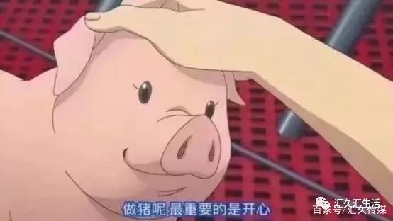 帮扩帮k是什么意思_00后网络用语