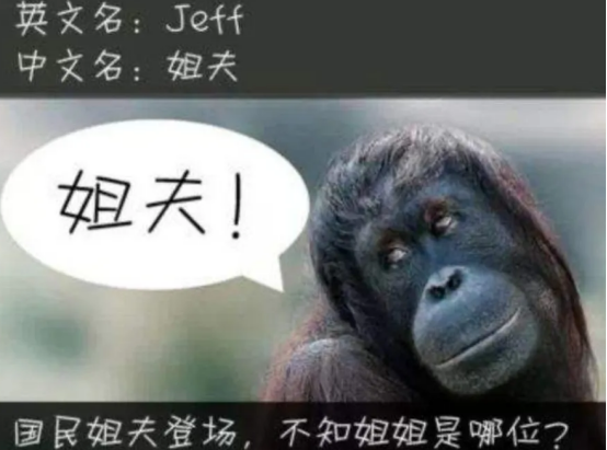 脑子瓦特了是什么意思_外国人用梗图吐槽汉语难学