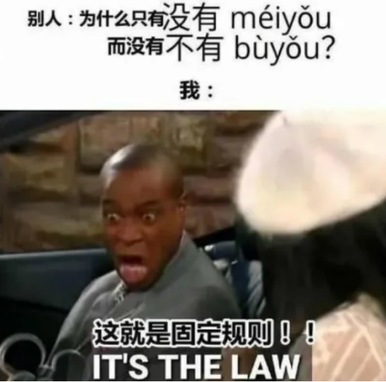 脑子瓦特了是什么意思_外国人用梗图吐槽汉语难学