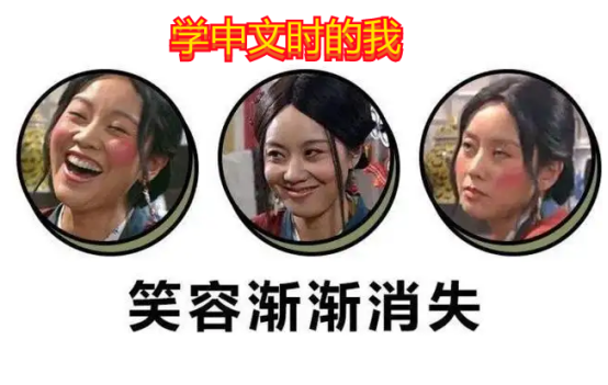 脑子瓦特了是什么意思_外国人用梗图吐槽汉语难学