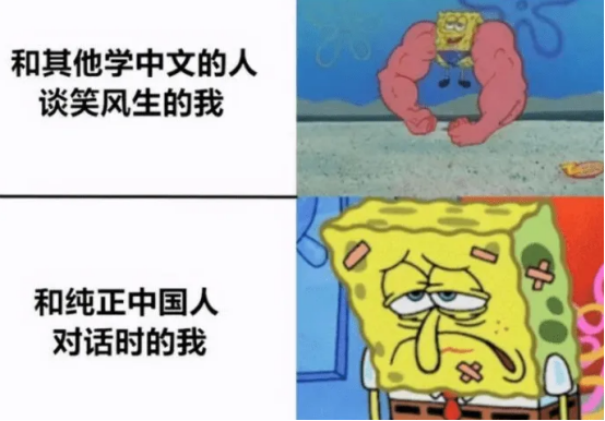 脑子瓦特了是什么意思_外国人用梗图吐槽汉语难学