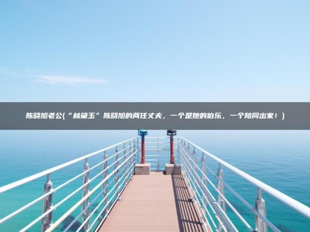 “林黛玉”陈晓旭的两任丈夫，一个是她的伯乐，一个陪同出家！(陈晓旭老公)