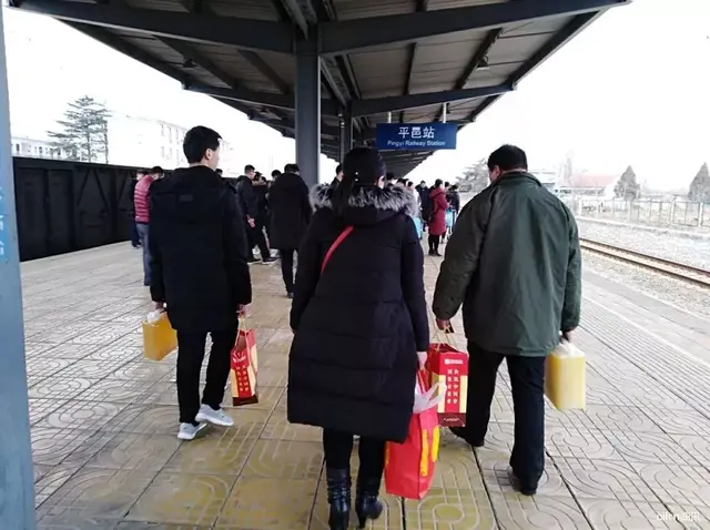 我是特种兵演员表大全女演员(我是特种兵4演员表介绍)