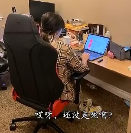 东北酱和小助理什么关系 他们真的在一起了吗