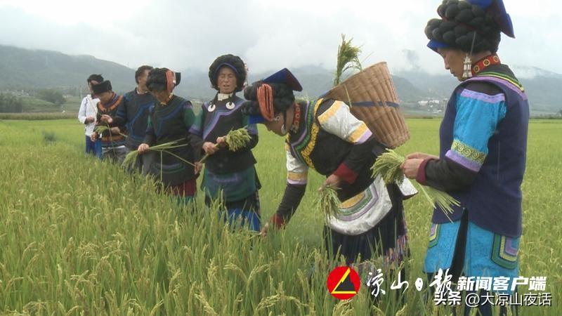 电子科技学院高考600分什么概念