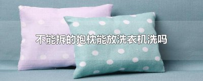 ​不能拆的抱枕能放洗衣机洗吗