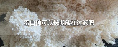 ​蛋白棉可以长期放在过滤吗