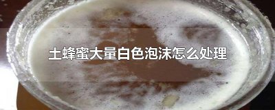 ​土蜂蜜大量白色泡沫怎么处理
