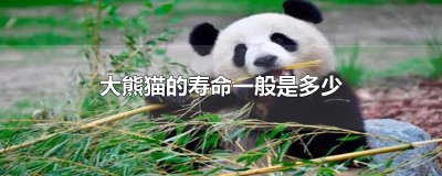 ​大熊猫的寿命一般是多少