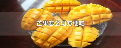 ​芒果怎么切方便吃