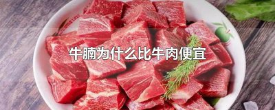 ​牛腩为什么比牛肉便宜