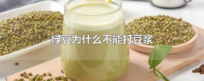 ​绿豆为什么不能打豆浆