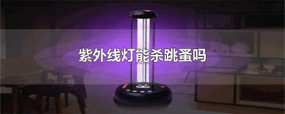 ​紫外线灯能杀跳蚤吗