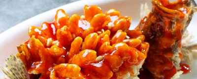 ​松鼠鱼是什么鱼