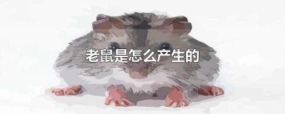 ​老鼠是怎么产生的