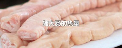 ​猪大肠的热量