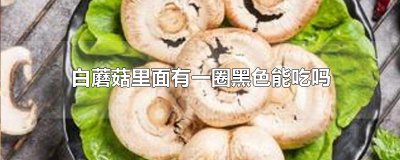 ​白蘑菇里面有一圈黑色能吃吗