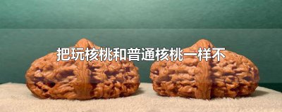​把玩核桃和普通核桃一样不