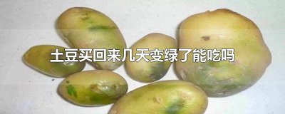 ​土豆买回来几天变绿了能吃吗