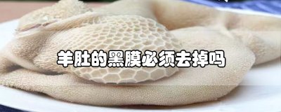 ​羊肚的黑膜必须去掉吗
