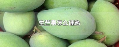 ​生芒果怎么催熟