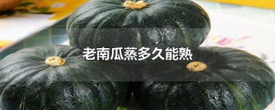 ​老南瓜蒸多久能熟