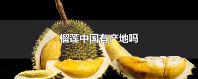 ​榴莲中国有产地吗